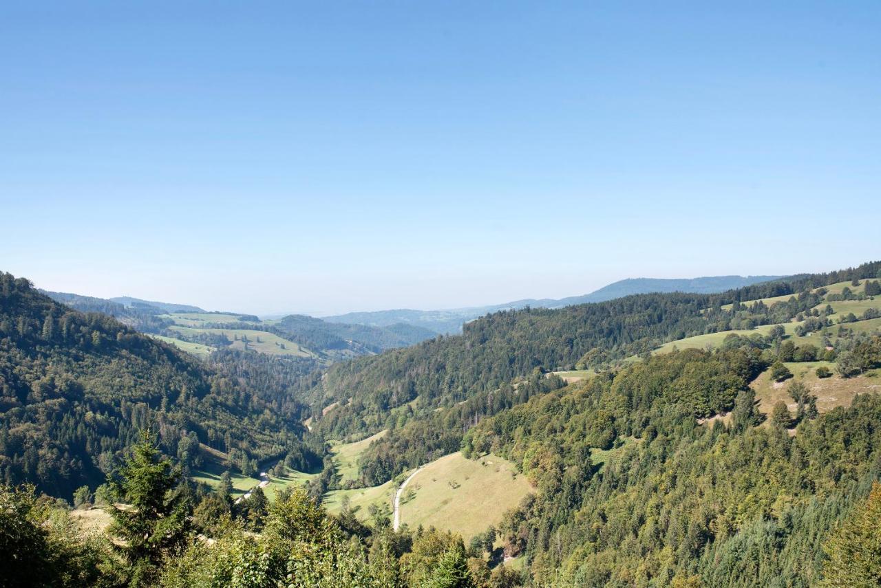 Schwarzwaldperle Appartement Todtmoos Buitenkant foto